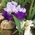 Kelley Reeves McGowan's profile image