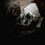 Devin Boucher's profile image