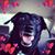 Bobette Penick's profile image