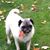 Barbara Rizzo-VerWulst's profile image