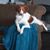 Bear Brunsell's profile image