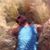 Humberto Cayetano's profile image