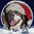 Loui Powers's profile image