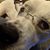 Barbara Larson Filkins's profile image
