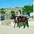 Jennifer Hile's profile image