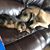 Cindy Gromer's profile image