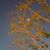 Murad Kakish's profile image
