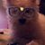 Petunia Pickelbaum's profile image