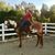 Magen Dinan's profile image