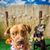 Heather Williams Jarrell's profile image