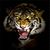 Abah Baldos's profile image