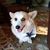 Margaret Ervin's profile image