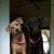 Chrissy Young's profile image