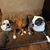 Susan Woerner's profile image