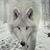 Sylvia Eplin's profile image