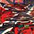 Deanna J. Standridge's profile image