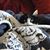 Jeanmarie Gisclair's profile image