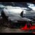 El Camino Crash's profile image