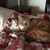 Bridget Solimeno Ivers's profile image