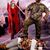 Donnie Newland Jr.'s profile image