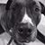 Angie Boyle's profile image