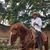 Gerardo Leyva's profile image