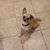 Ed Cmar's profile image