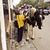 Doris Ding's profile image