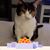 Mary Olson-sinz's profile image