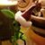 Jennifer Kathryn Stone's profile image