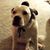 Jessie Lauer's profile image