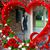 Lorie Annette Camp's profile image