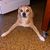 Sandra Overstreet's profile image