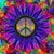 Janie N John Hawkins's profile image