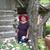 Elaine Christoferson Stuart's profile image
