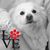 Bobbie Whisler-Meints's profile image