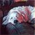 Jerry Street's profile image