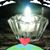 Beth Donham's profile image