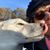 George Furtsch's profile image