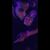 Cris N Cisco's profile image