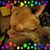 Holly Giese's profile image