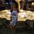 ZeeZee Ulysse's profile image