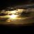 Michele Hall Albers's profile image