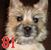 Sherry Olney's profile image