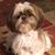 Tavia Ormsby's profile image