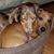 Terri Selman Steen's profile image
