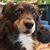John M Danzer's profile image