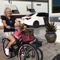 Pat Rhodes's profile image