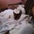 Cindy Phillips's profile image