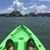 Neal Koger's profile image